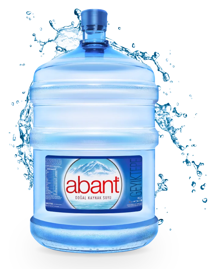 Abant su damacanası